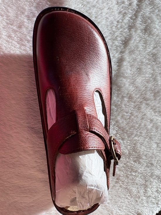 Alegria Shoes - New Alegria Chestnut Classic Slip-On Clog